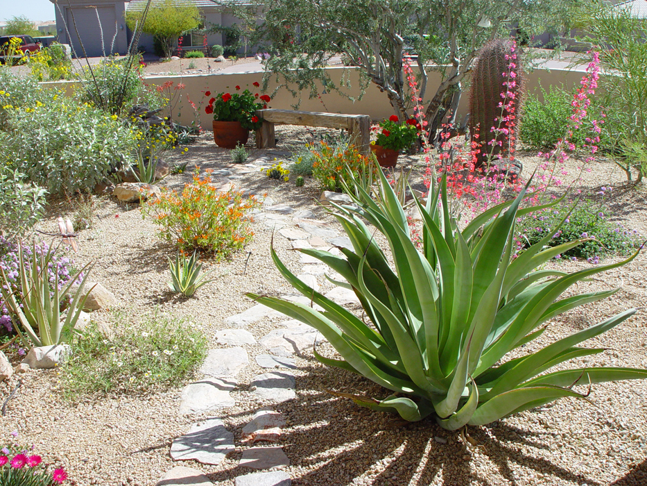 What Is Xeriscaping Buck S Landscape, What Does Xeriscape Landscaping Mean